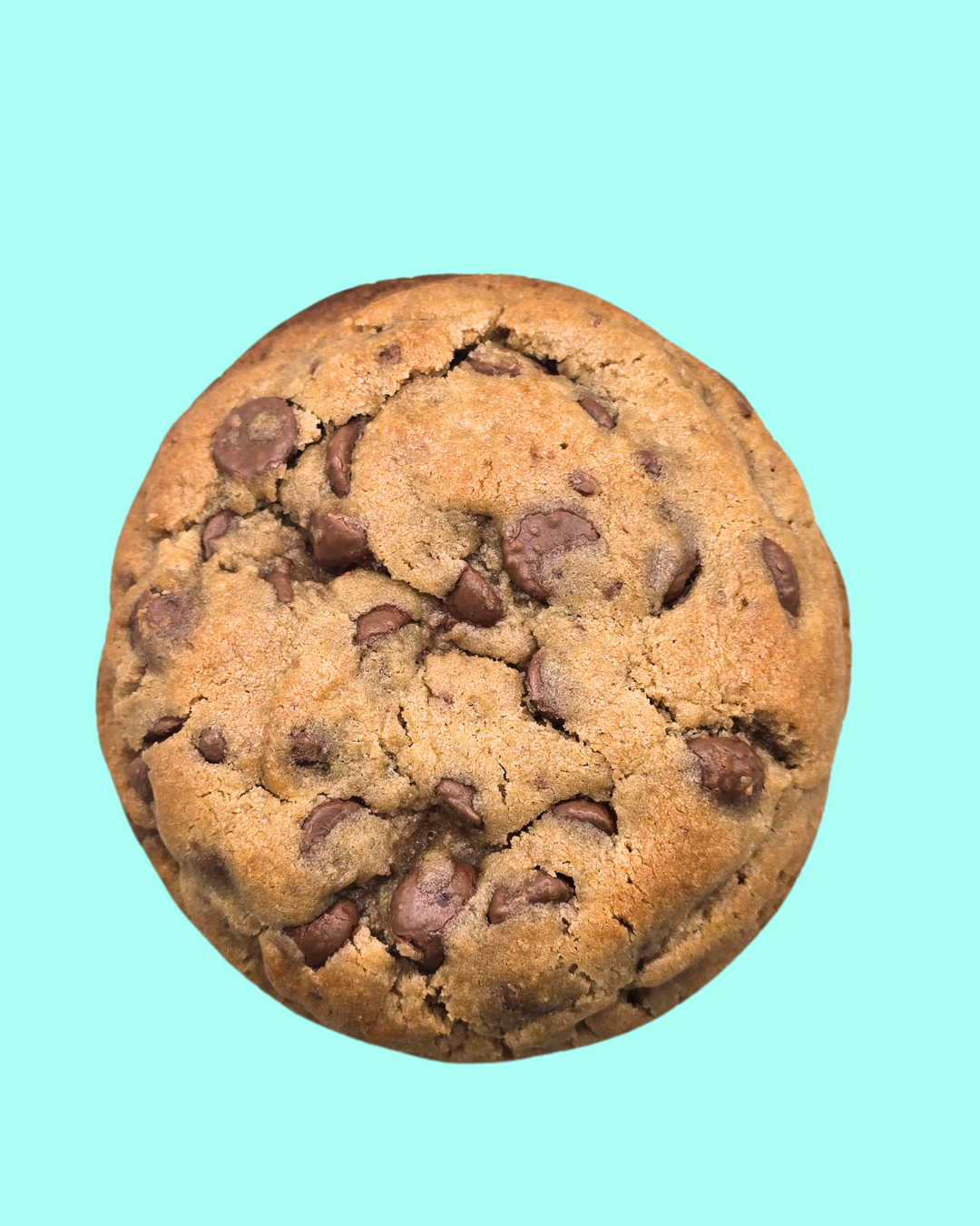 Chocolate Chip Cookie